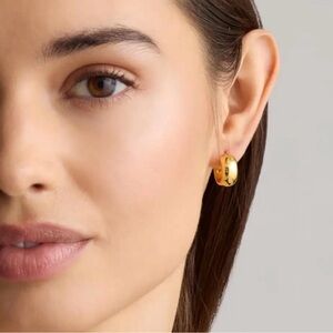 Quince 14k Solid Gold Wide Huggies